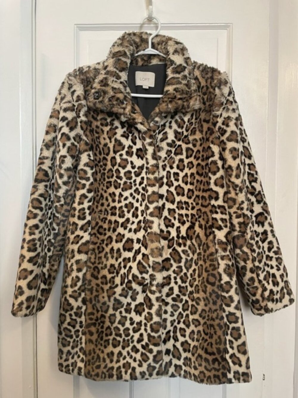 LOFT Leopard Print Faux Fur Teddy Bear Coat Ultra Soft Size XS